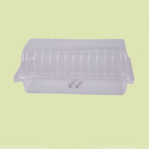 Cake-Container